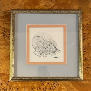 Vintage Framed Pen & Ink Seashell Drawing